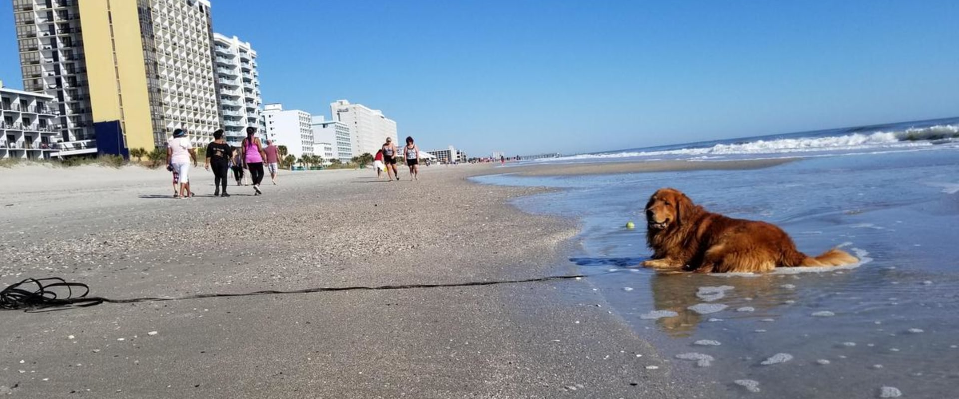 Exploring the Best 4-Star Hotels in Myrtle Beach