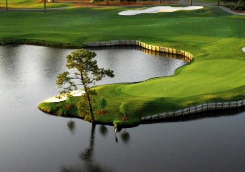 Discover the Best Golf Courses in and Around Myrtle Beach