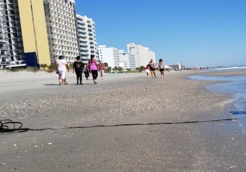 Dog-Friendly Beaches in Myrtle Beach, South Carolina