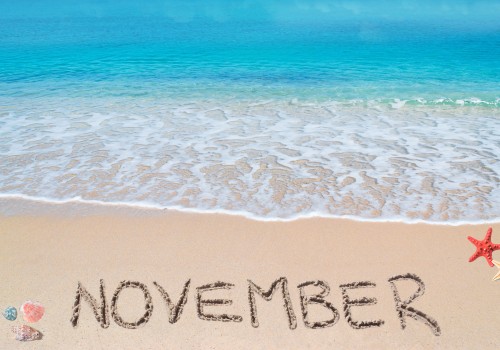 Can You Swim in Myrtle Beach in November?